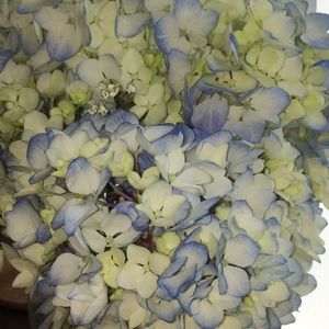 Meet your Posher, Valentina